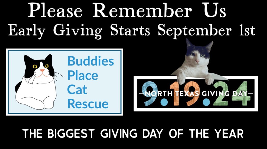 Please remember us this North Texas Giving Day!